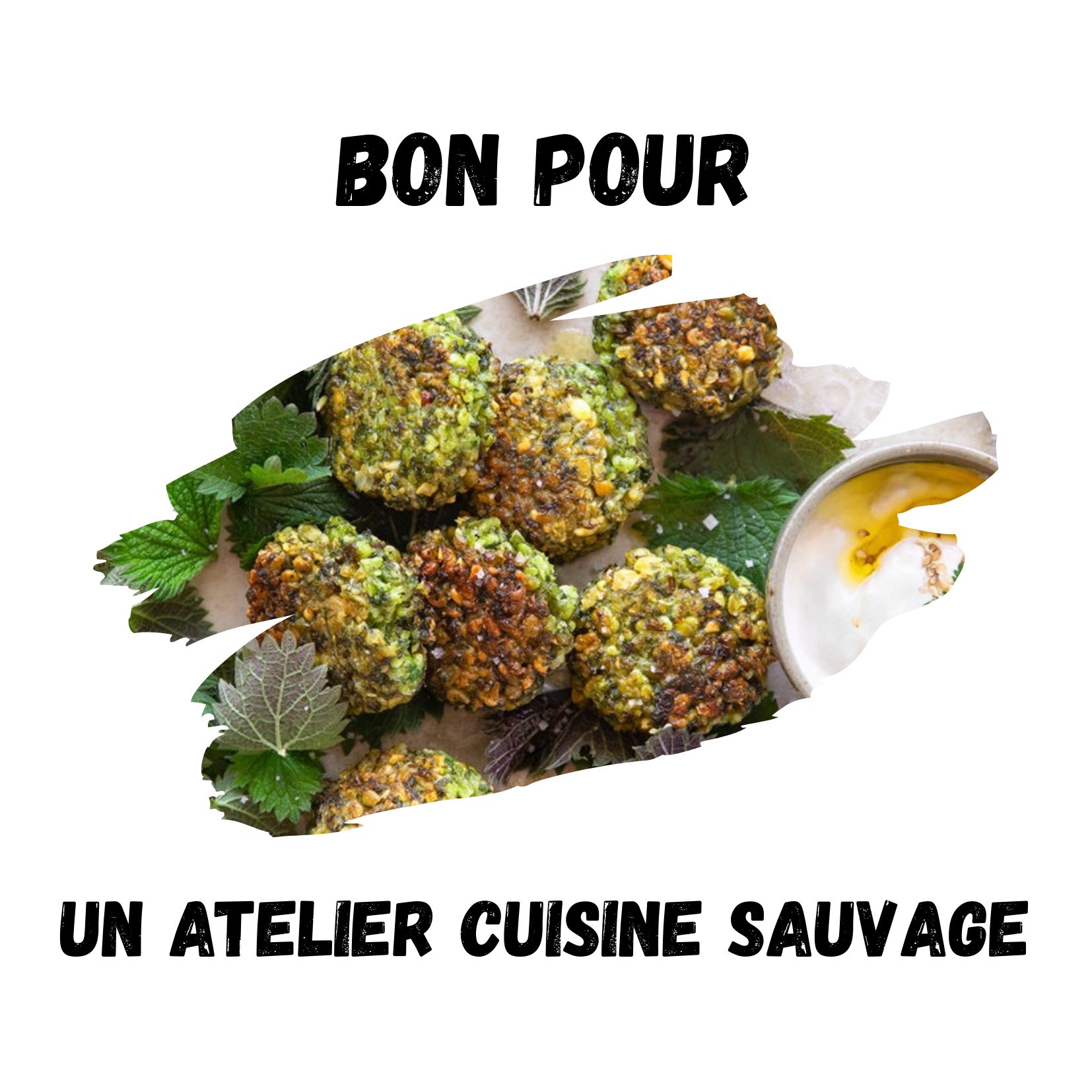 Atelier cuisine sauvage