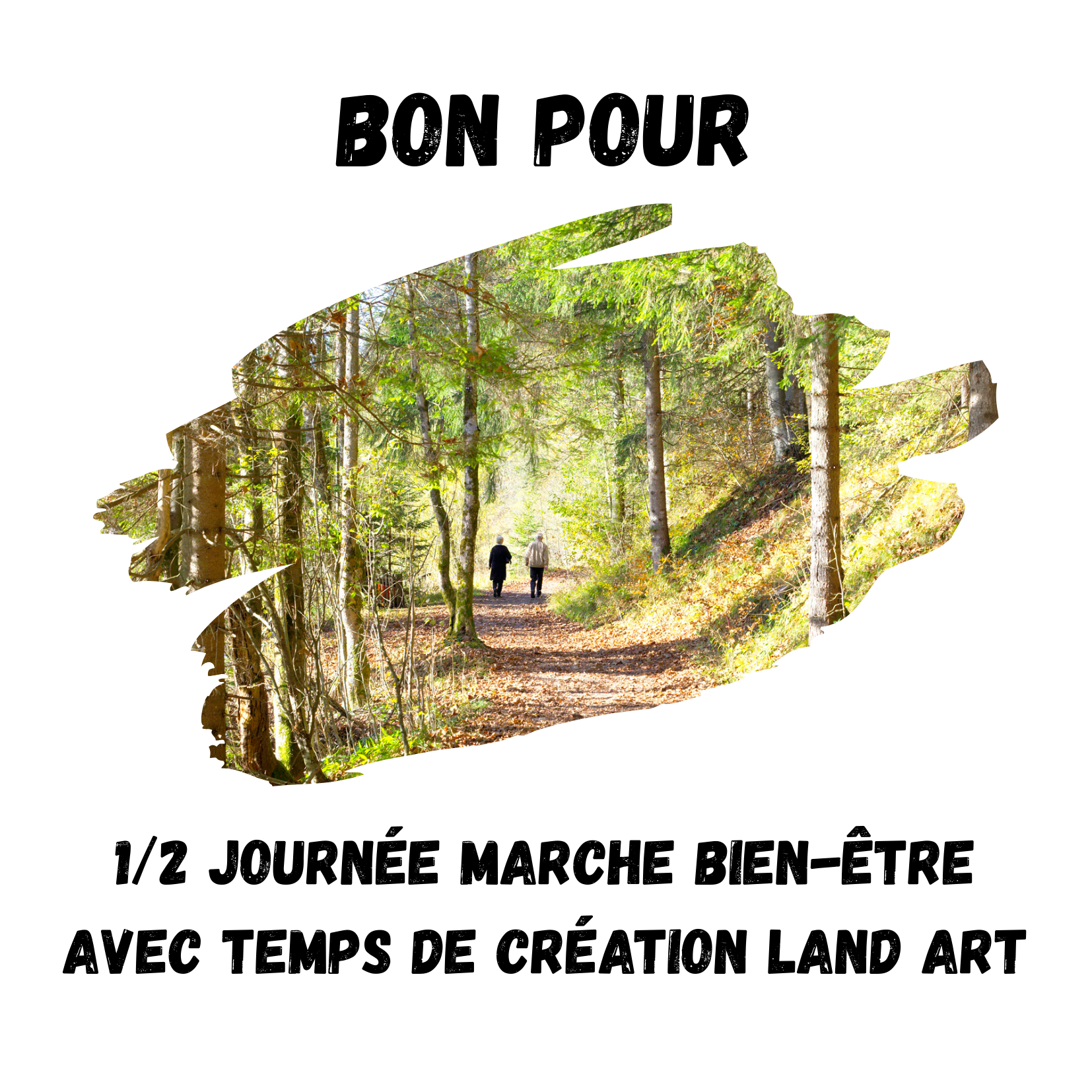 Marche bien-être avec temps de création land art