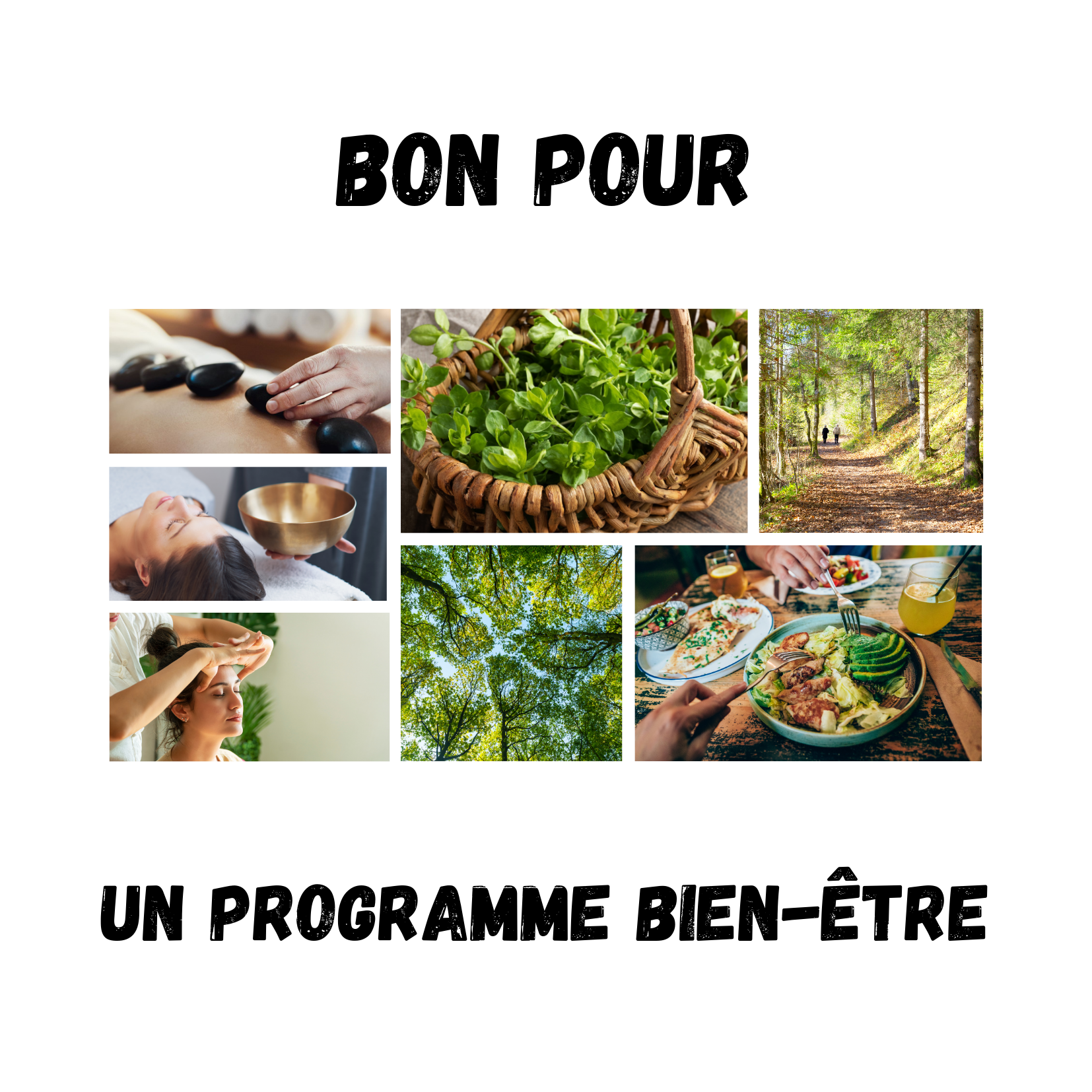 Programme bien-être